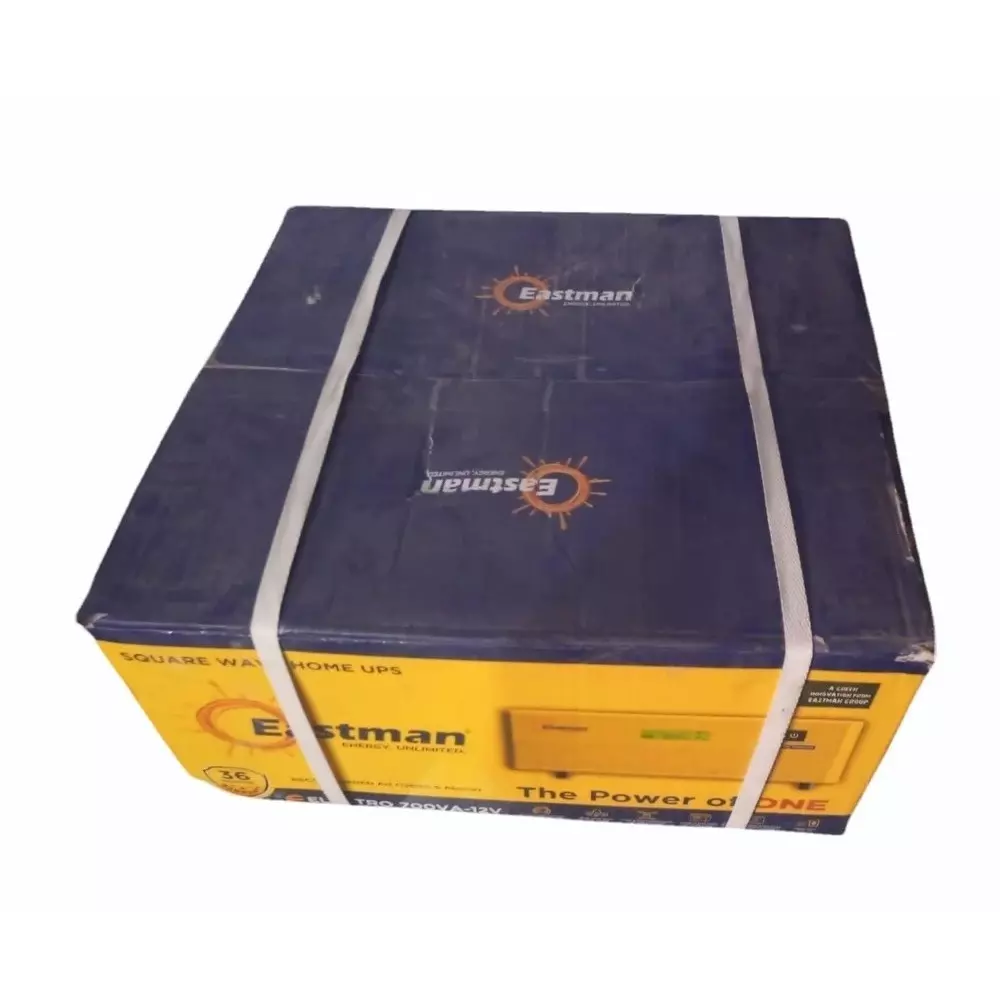 Eastman UPS Electro Series 700 VA 12 V