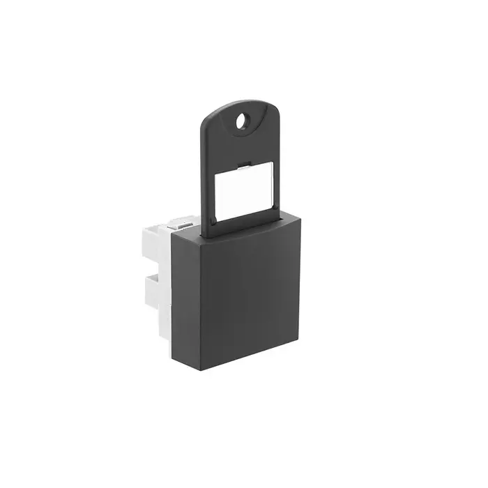 Legrand Hospitality Function Hotel Keycard Switch Keytag for 681217 Allzy Matt Black, 6812 79 (Pack of 10 Pcs)