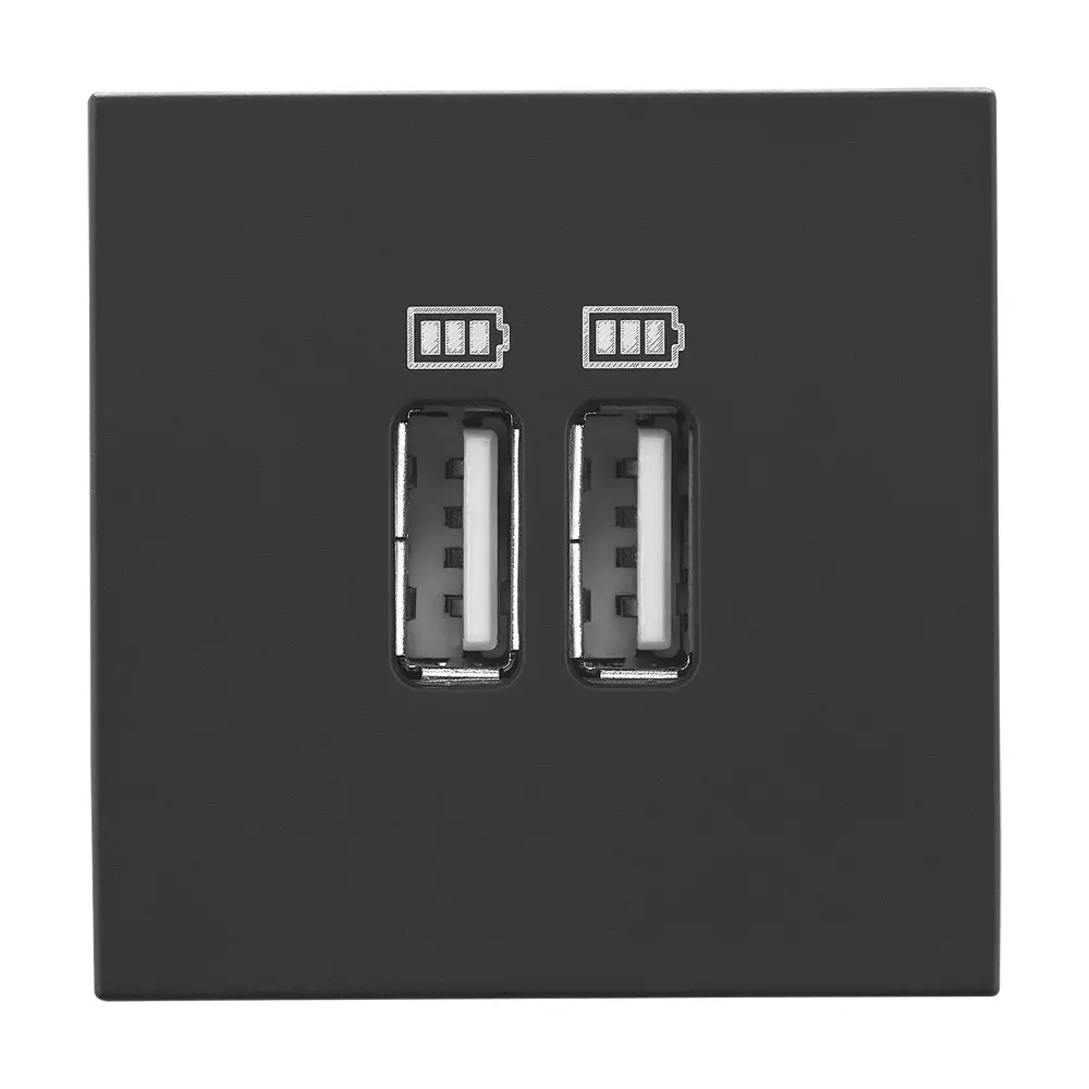 Legrand USB Charger Socket Allzy 3000 mA 2 Module Matt Black, 6812 51 (Pack of 10 Pcs)