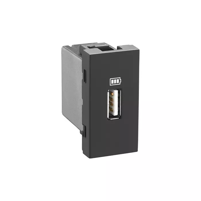 Legrand USB Charger Socket Allzy 30 W 2 Module Type C+C Matt Black, 6812 85