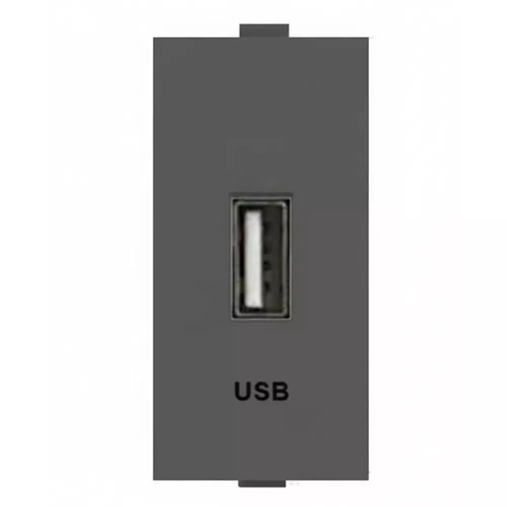 Anchor Roma Plus USB Type-A Fast Charger Switch Support Module 18 W 1 Module Black PVC Plastic for Industrial Use, 279691
