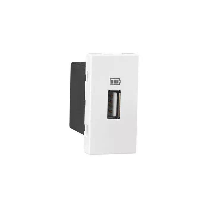 Legrand USB Charger Sockets Allzy 30 W 2 Module Type C+C Glossy White, 6811 85