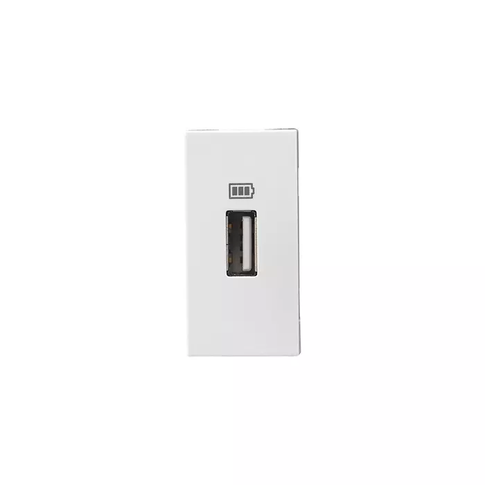 Legrand USB Charger Sockets Allzy 30 W 2 Module Type C+C Glossy White, 6811 85