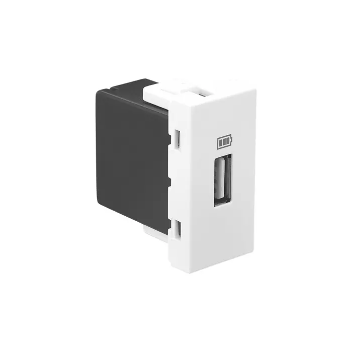 Legrand USB Charger Sockets Allzy 30 W 2 Module Type C+C Glossy White, 6811 85