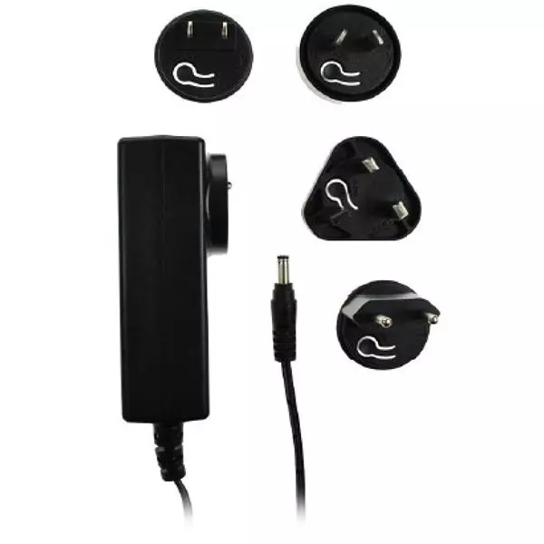 Cicor Interchangeable Plug Wall Mount 1 Output 90 VAC to 264 VAC, SW4520-C