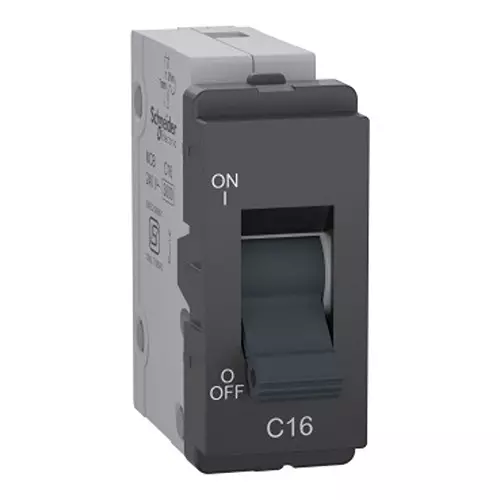 Schneider Electric Livia Mini MCB 1 Pole 16 Amp 240 V 3 kA Breaking capacity Grey, P8016_PG_N