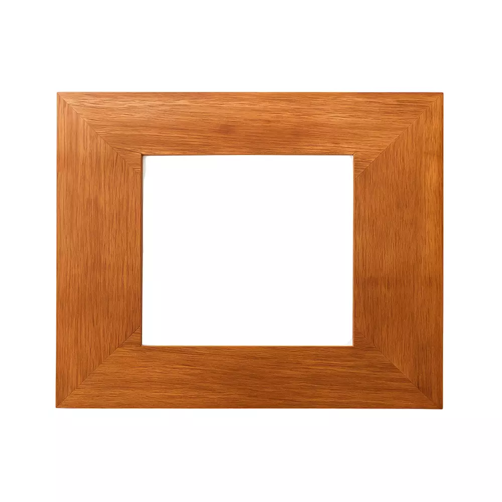 C&S Electric Module Plate English Walnut & Burly Wood Cover Plates With Support Plate (Pack of 10)