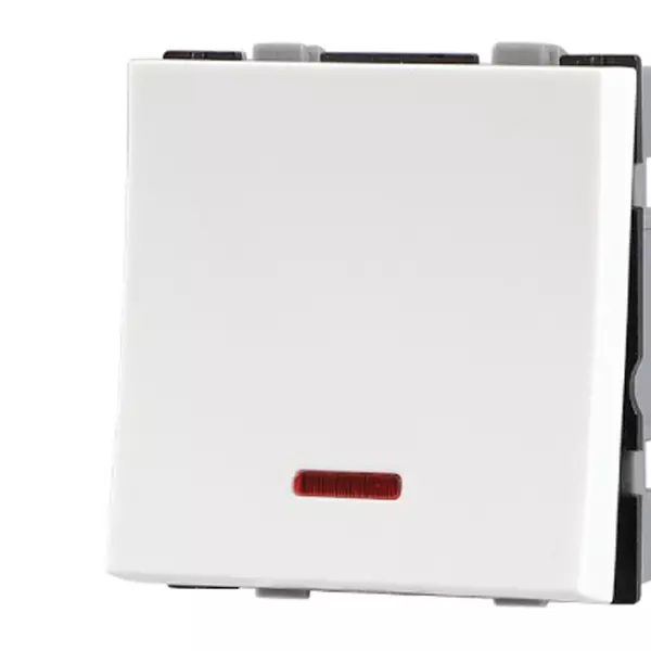 Havells Reo Elegant 32 A DP Switch with Indicator AHRSDIW321