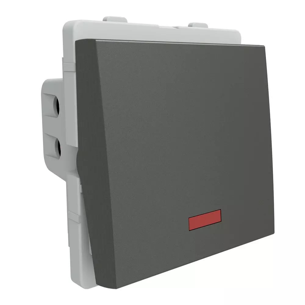 Schneider Electric Livia Series 1 Way Switch 32 A Current 2 Module 240 V AC Operational Voltage & Pristine Grey Color, P1132_PG_N