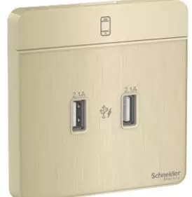 Buy Schneider AvatarOn USB charger 2 type A 2.1 A Metal Gold Hairline E8332USB_GH_G8 from Industrybuying.com