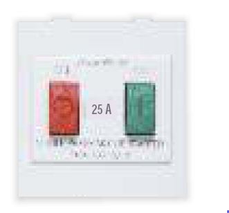 GreatWhite Fiana Spms Starter Switch 20228-WH