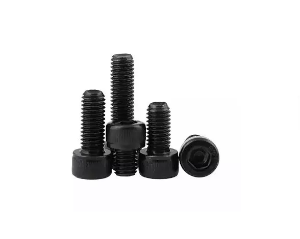 apl-aisi-304-stainless-steel-16x75-mm-allen-cap-screw
