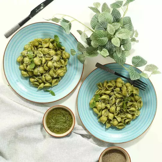 wonderchef-teramo-dinner-plate-stoneware-blue-63154699-2-pcs-set