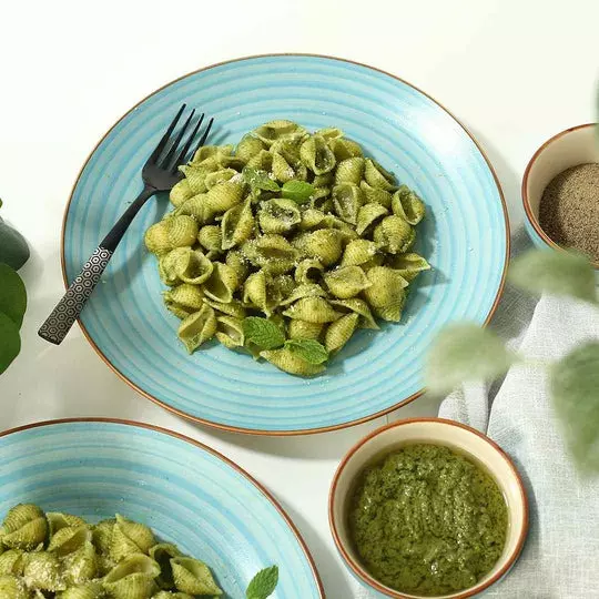 wonderchef-teramo-dinner-plate-stoneware-blue-63154699-2-pcs-set