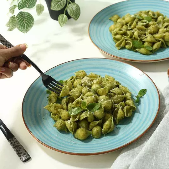 wonderchef-teramo-dinner-plate-stoneware-blue-63154699-2-pcs-set