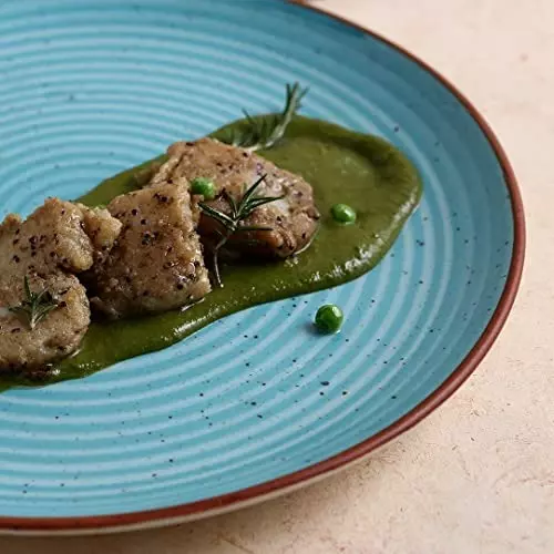 wonderchef-teramo-dinner-plate-25-cm-10-inch-stoneware-blue-63154065-2-pcs-set