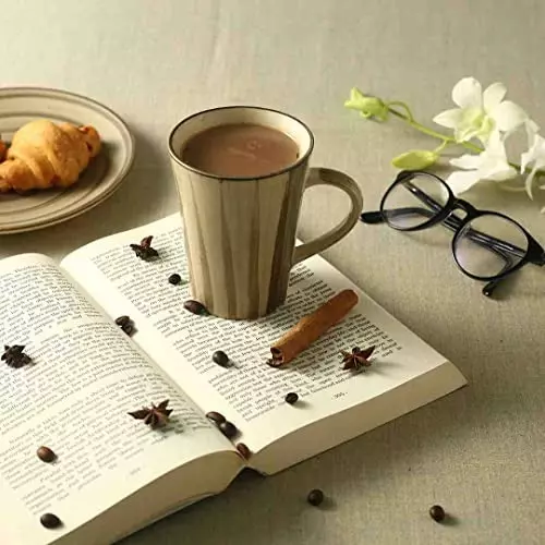 wonderchef-teramo-coffee-mug-300-ml-stoneware-brown-63154653-2-pcs-set