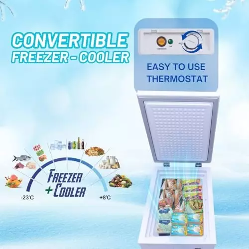ROCKWELL 62 L Single Door Convertible Deep Freezer, SFR70