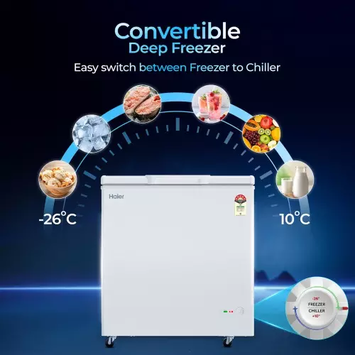haier-300-l-single-door-direct-cooling-convertible-deep-freezer-white-hfc-300spw5