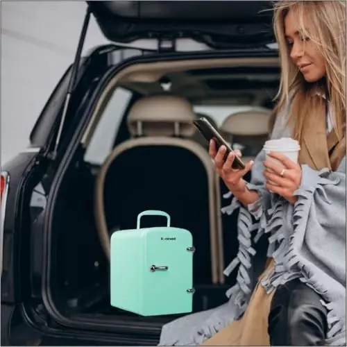 Rockwell 4 L Portable Mini Fridge and Warmer 220 V Green, RMF4G