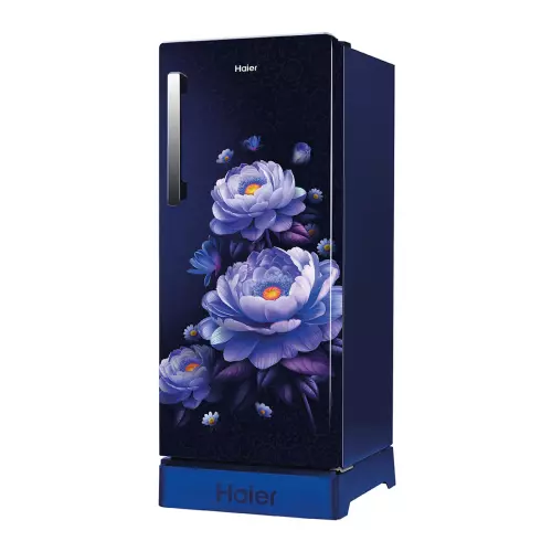 haier-190-l-direct-cool-single-door-refrigerator-with-base-drawer-4-star-marine-blossom-hrd-2114pmba-n