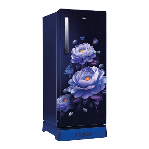 haier-190-l-direct-cool-single-door-refrigerator-with-base-drawer-4-star-marine-blossom-hrd-2114pmba-n