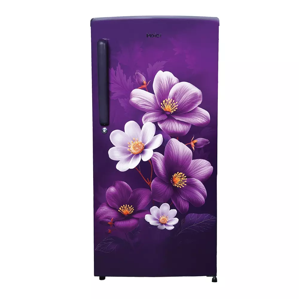 Haier 185 L Direct Cool Single Door Refrigerator 1 Star Purple Anemone, HRD-2061SPAA-N
