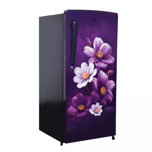 haier-185-l-direct-cool-single-door-refrigerator-1-star-purple-anemone-hrd-2061spaa-n