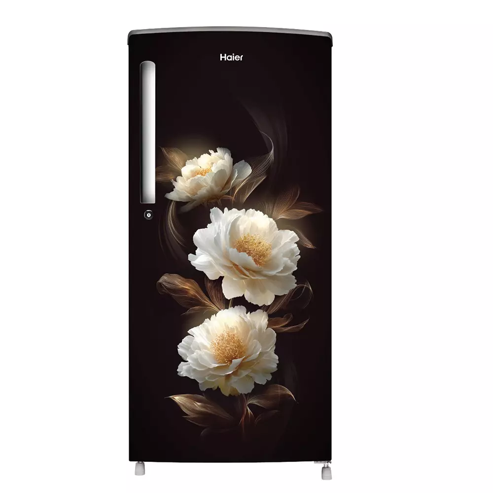 Haier 185 L Direct Cool Single Door Refrigerator 1 Star Celestial Peony, HRD-2061SCPA-N