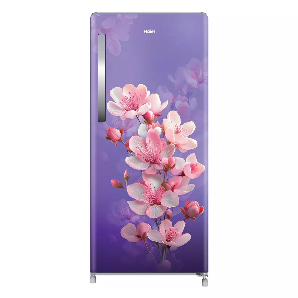 Haier 190 L Direct Cool Single Door Refrigerator 2 Star Purple Sienna (Cherry Blossom), HRD-2112CPSA-N
