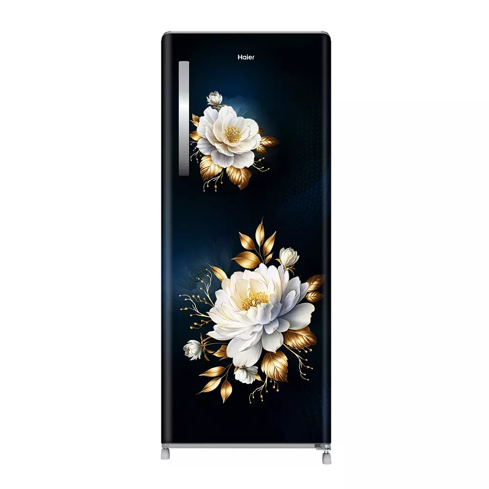 Haier 215 L Direct Cool Single Door Refrigerator 2 Star Marine Freesia (Luxe), HRD-2362CMFA-N