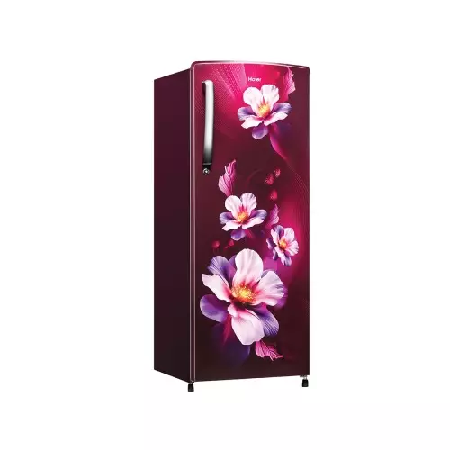 haier-253-l-single-door-direct-cool-refrigerator-2-star-red-karen-hrd-2742crka-n