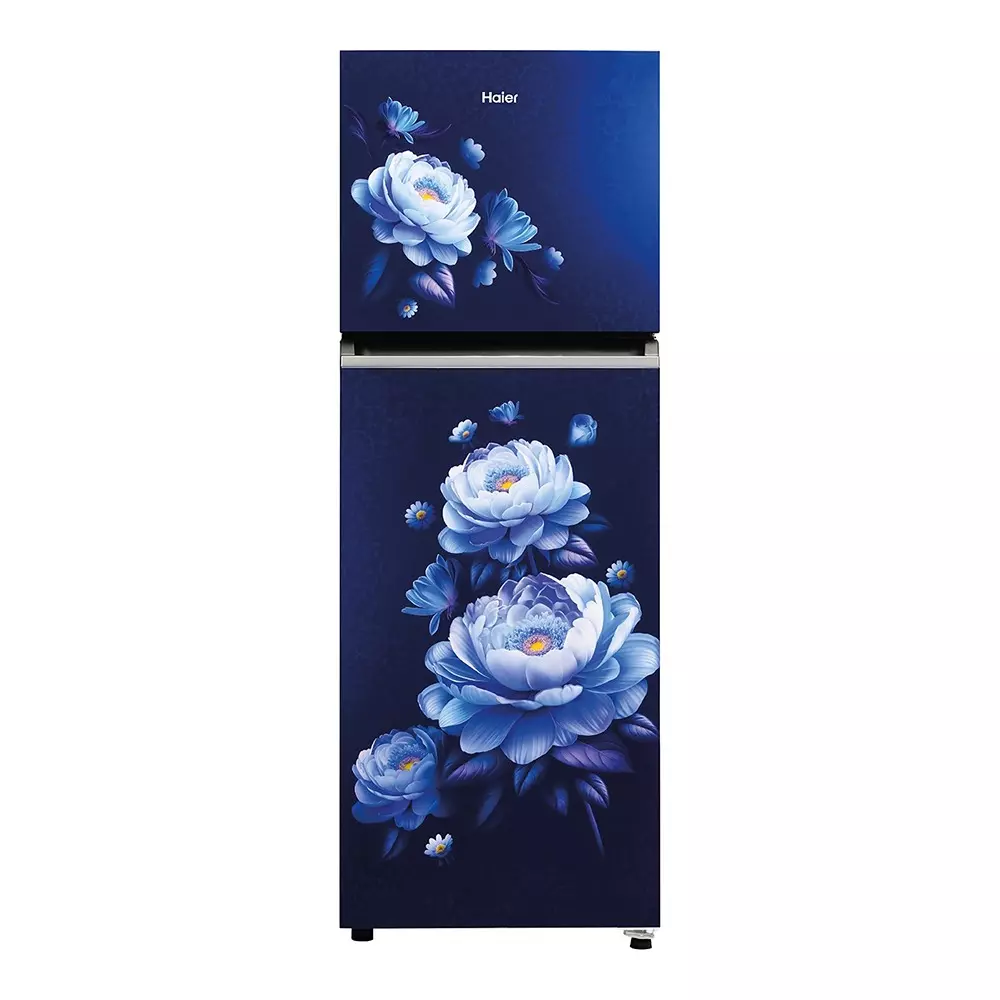 Haier 240 L Double Door Frost Free Top Mount Refrigerator 2 Star Marine Blossom, HRF-2902IEMBA-P
