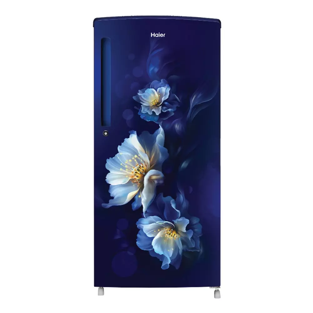 Haier 185 L Direct Cool Single Door Refrigerator 1 Star Marine Spring Floral, HRD-2061SMSFA-N