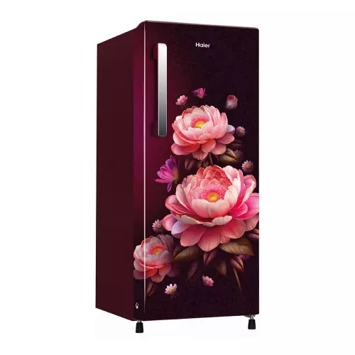 haier-190-l-direct-cool-single-door-refrigerator-3-star-red-blossom-hrd-2113crba-n
