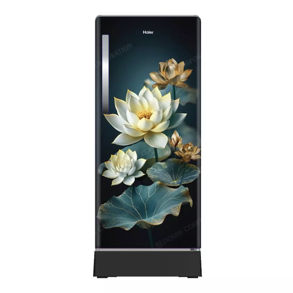 Haier 190 L Direct Cool Single Door Refrigerator with Base Drawer 3 Star Green Camellia (Lotus), HRD-2113PGCA-N