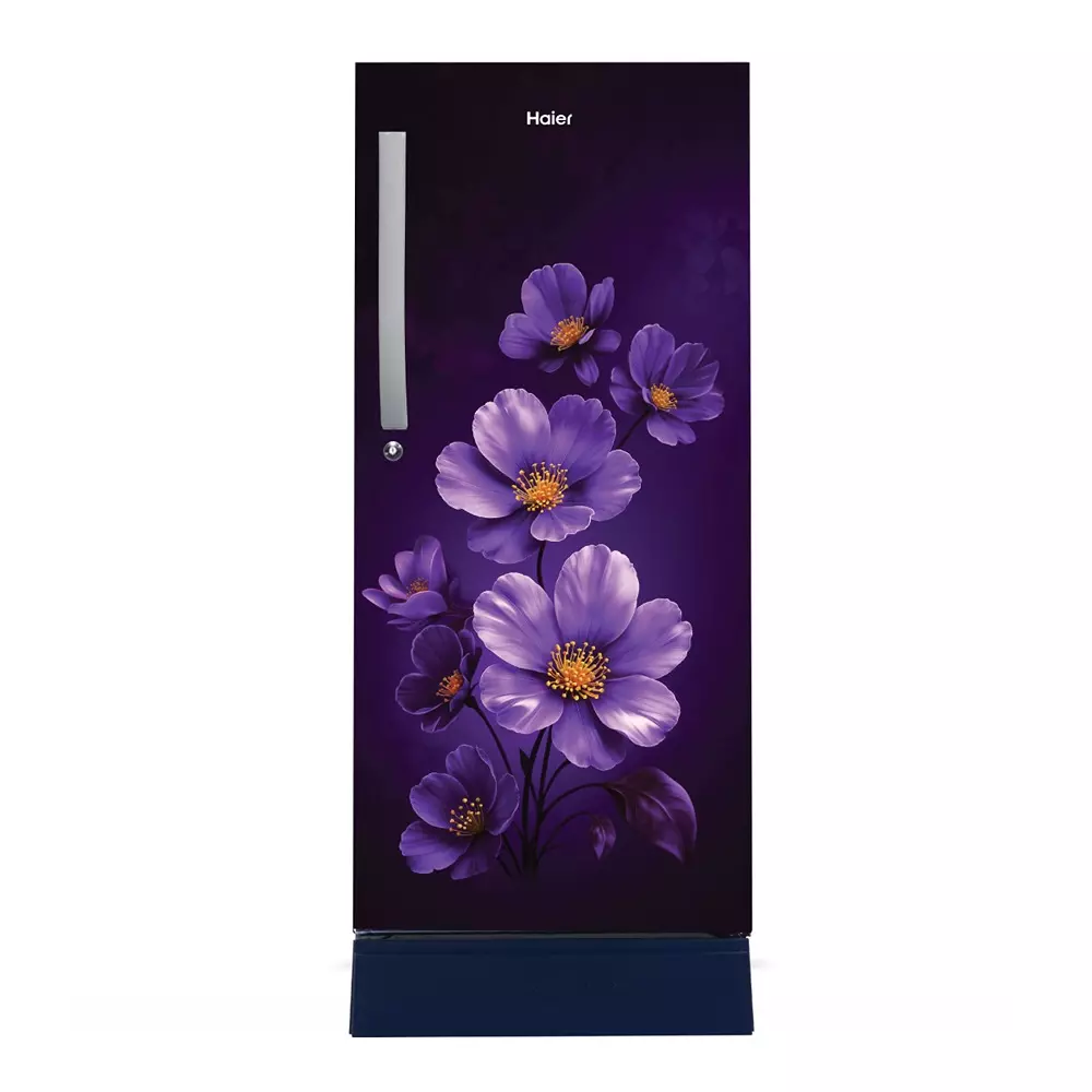 Haier 215 L Direct Cool Single Door Refrigerator with Base Drawer 3 Star Purple Xsenia, HRD-2353PPXA-P