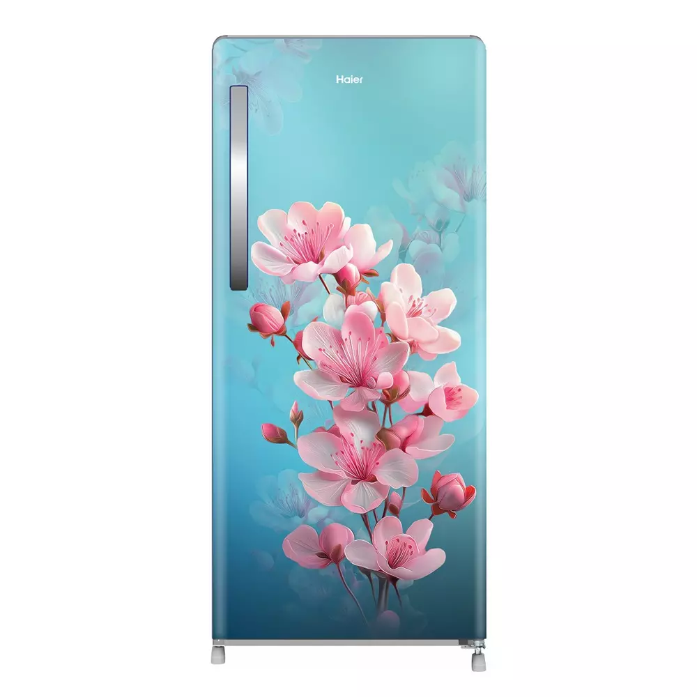 Haier 190 L Direct Cool Single Door Refrigerator 2 Star Teal Sienna (Cherry Blossom), HRD-2112CTSA-N