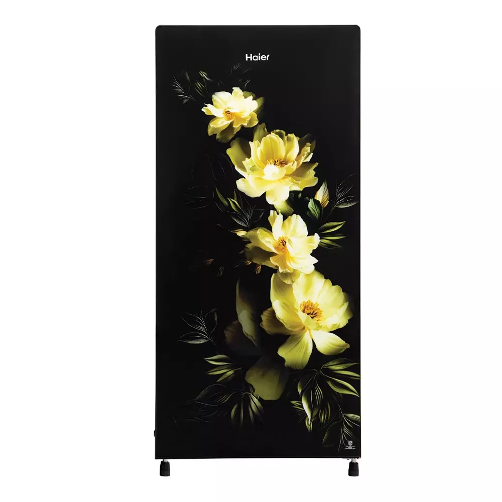 Haier 185 L Direct Cool Single Door Refrigerator 1 Star Coral Charm Glass, HRD-2061SCGA-N