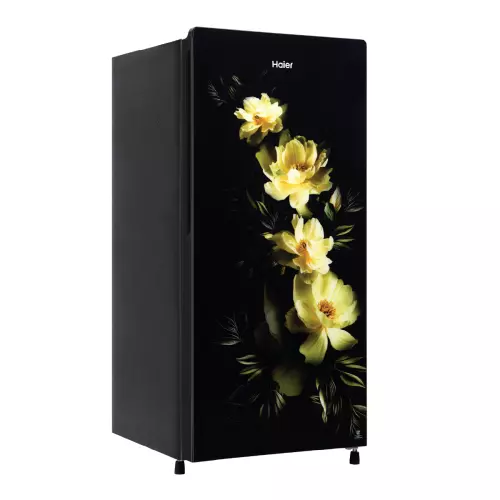 haier-185-l-direct-cool-single-door-refrigerator-1-star-coral-charm-glass-hrd-2061scga-n