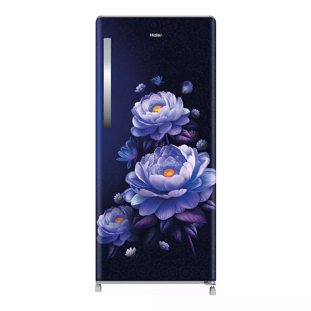Haier 190 L Direct Cool Single Door Refrigerator 3 Star Marine Blossom, HRD-2113CMBA-N