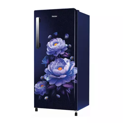 haier-190-l-direct-cool-single-door-refrigerator-3-star-marine-blossom-hrd-2113cmba-n