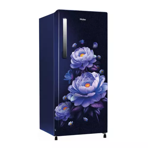 haier-190-l-direct-cool-single-door-refrigerator-3-star-marine-blossom-hrd-2113cmba-n
