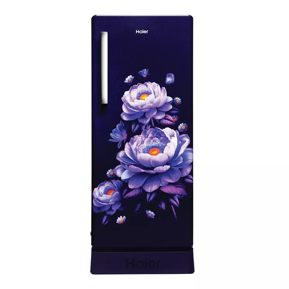 Haier 190 L Direct Cool Single Door Refrigerator with Base Drawer 3 Star Marine Blossom, HRD-2113PMBA-N