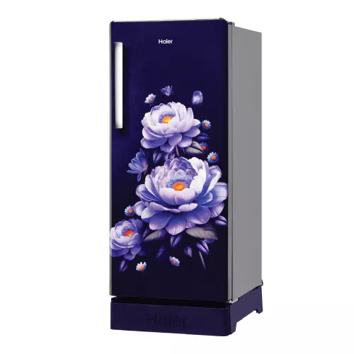 haier-190-l-direct-cool-single-door-refrigerator-with-base-drawer-3-star-marine-blossom-hrd-2113pmba-n