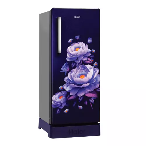 haier-190-l-direct-cool-single-door-refrigerator-with-base-drawer-3-star-marine-blossom-hrd-2113pmba-n