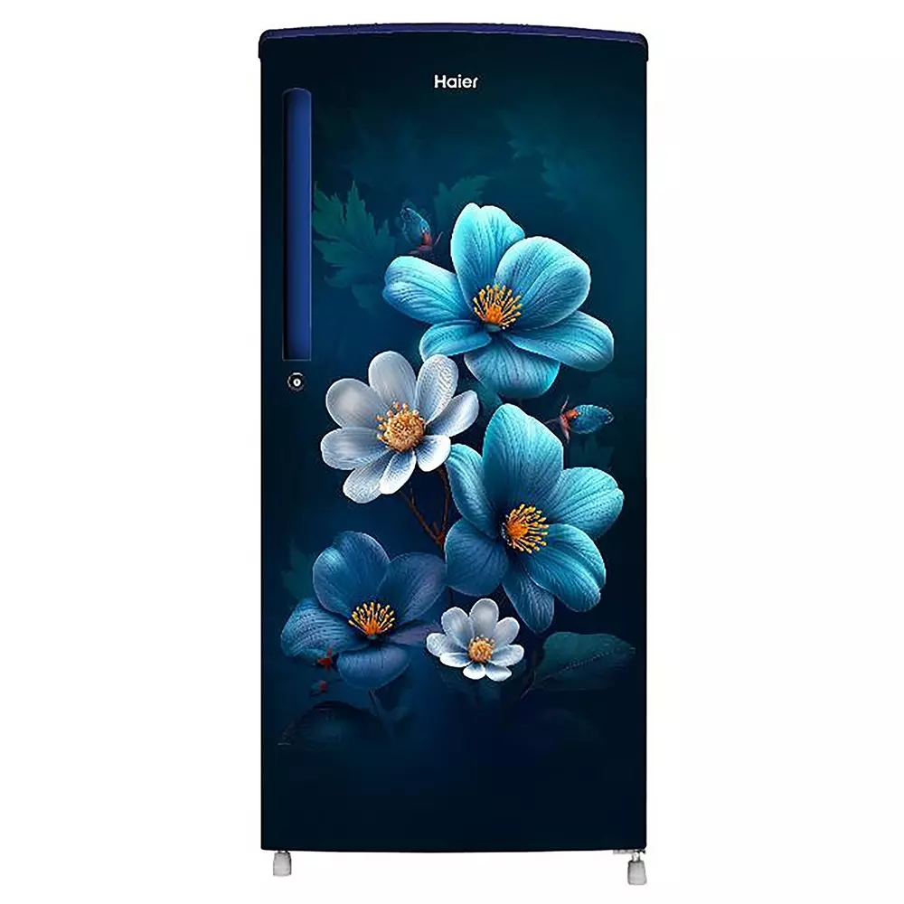 Haier 185 L Direct Cool Single Door Refrigerator 1 Star Marine Anemone, HRD-2061SMAA-N
