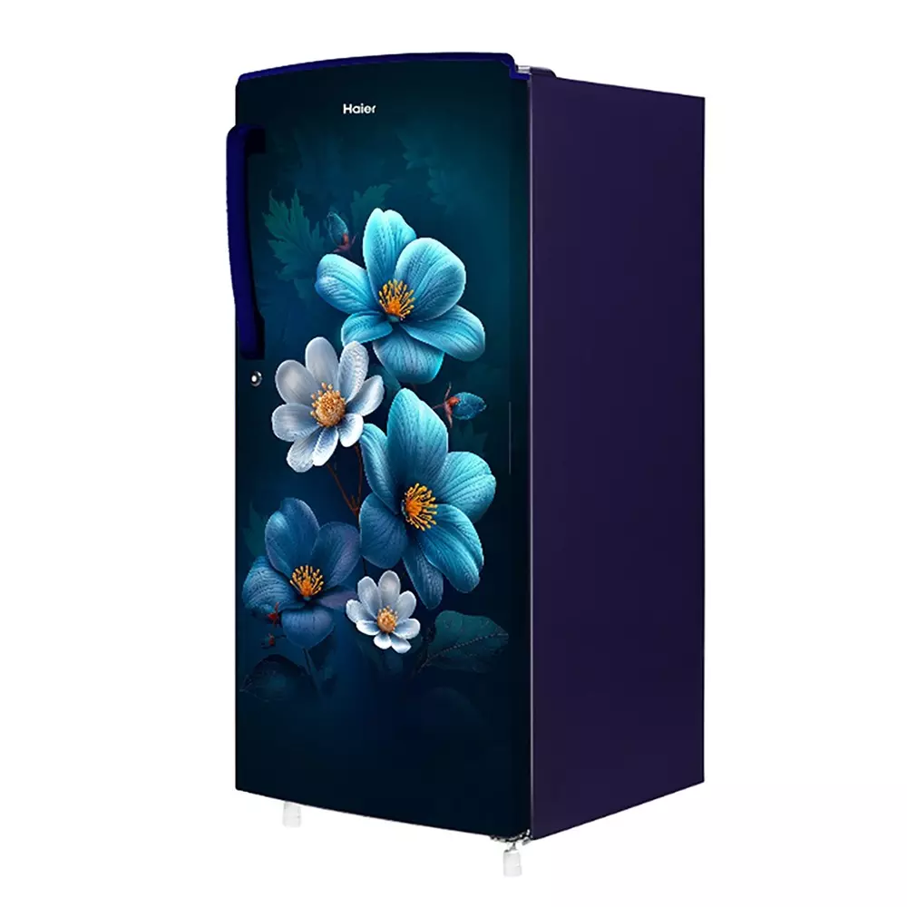 haier-185-l-direct-cool-single-door-refrigerator-1-star-marine-anemone-hrd-2061smaa-n