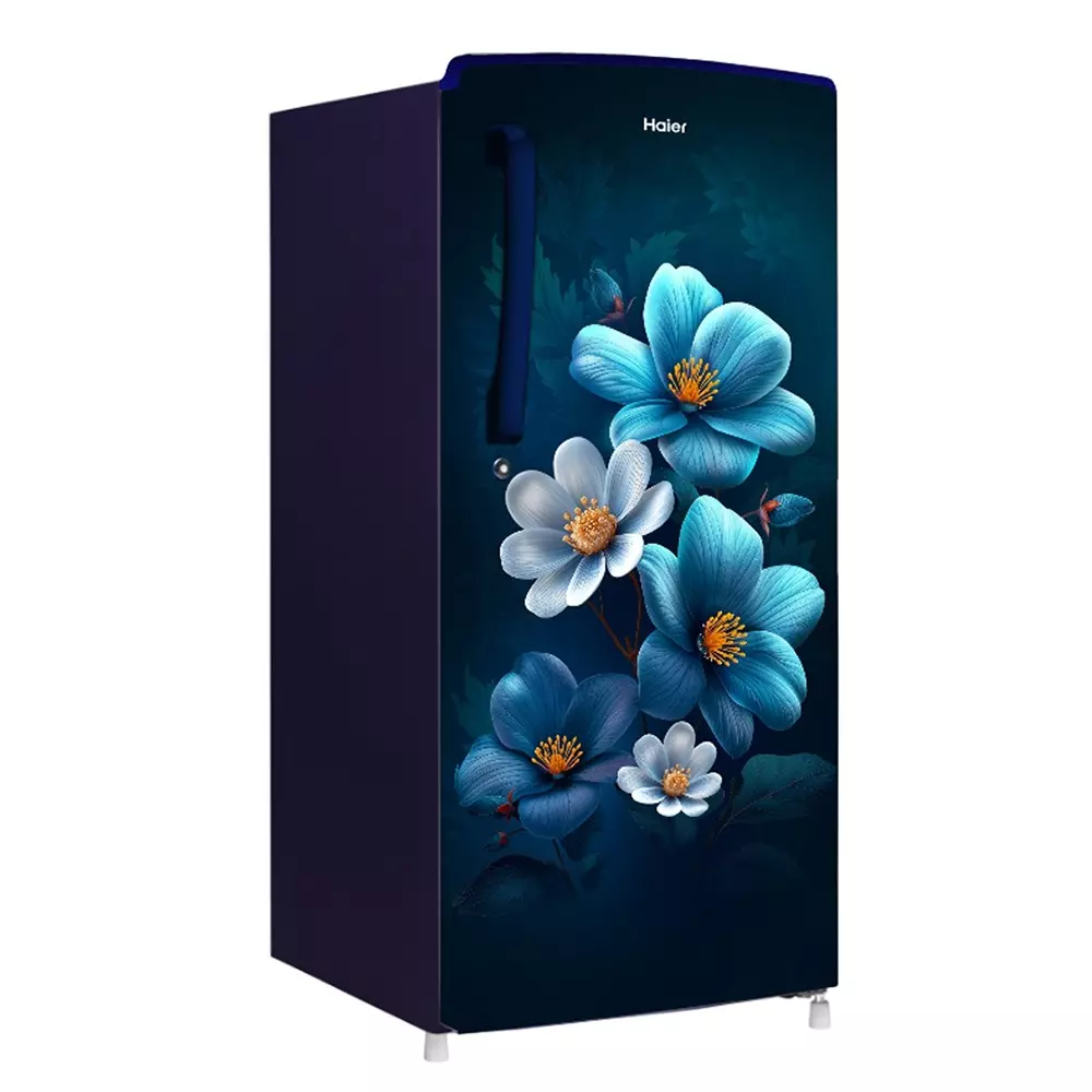 haier-185-l-direct-cool-single-door-refrigerator-1-star-marine-anemone-hrd-2061smaa-n