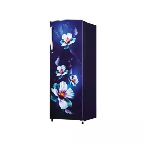 haier-253-l-single-door-direct-cool-refrigerator-2-star-marine-karen-hrd-2742cmka-n